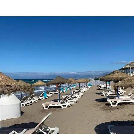 In Steps From Sandy *