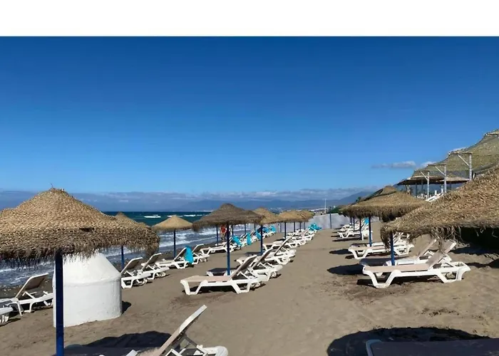 In Steps From Sandy *